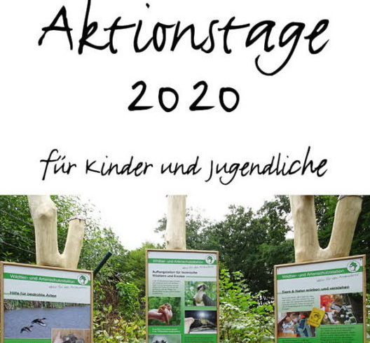 Flyer 2020 Deckblatt